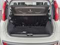 Fiat Panda Panda 1.2 8V Easy (EURO 6d-TEMP) KLIMA+RADIO+USB Bianco - thumbnail 11