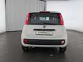 Fiat Panda Panda 1.2 8V Easy (EURO 6d-TEMP) KLIMA+RADIO+USB Weiß - thumbnail 7