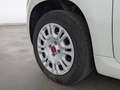 Fiat Panda Panda 1.2 8V Easy (EURO 6d-TEMP) KLIMA+RADIO+USB Weiß - thumbnail 10