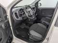 Fiat Panda Panda 1.2 8V Easy (EURO 6d-TEMP) KLIMA+RADIO+USB Weiß - thumbnail 14