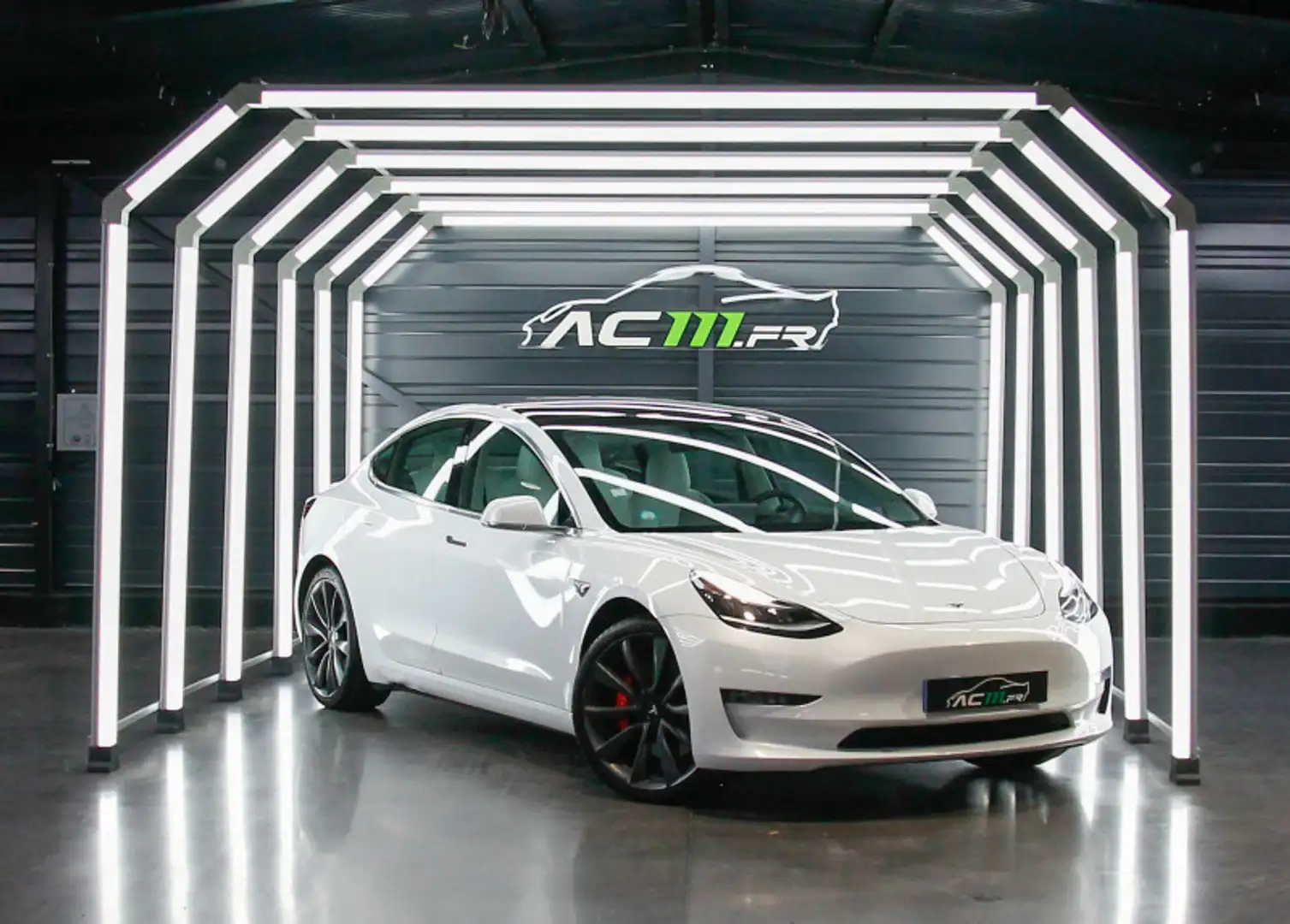 Tesla Model 3 PERFORMANCE PUP AWD UPGRADE - 1