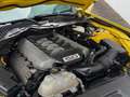 Ford Mustang GT Coupe 5.0 V8 GT500 Opt/Recaro/ACC/R20 Gelb - thumbnail 20