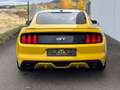 Ford Mustang GT Coupe 5.0 V8 GT500 Opt/Recaro/ACC/R20 Gelb - thumbnail 11
