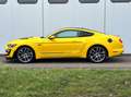 Ford Mustang GT Coupe 5.0 V8 GT500 Opt/Recaro/ACC/R20 Gelb - thumbnail 7