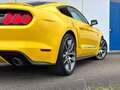 Ford Mustang GT Coupe 5.0 V8 GT500 Opt/Recaro/ACC/R20 Gelb - thumbnail 12
