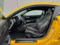 Ford Mustang GT Coupe 5.0 V8 GT500 Opt/Recaro/ACC/R20 Gelb - thumbnail 16