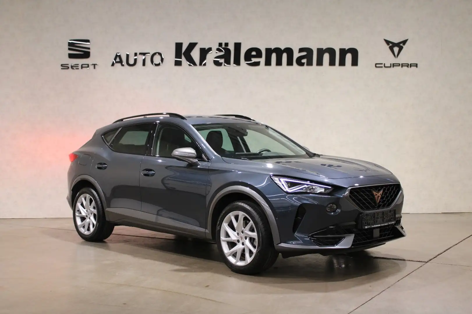 CUPRA Formentor 1.5 TSI DSG*AHK*Navi*Kamera*FullLink* Grau - 1