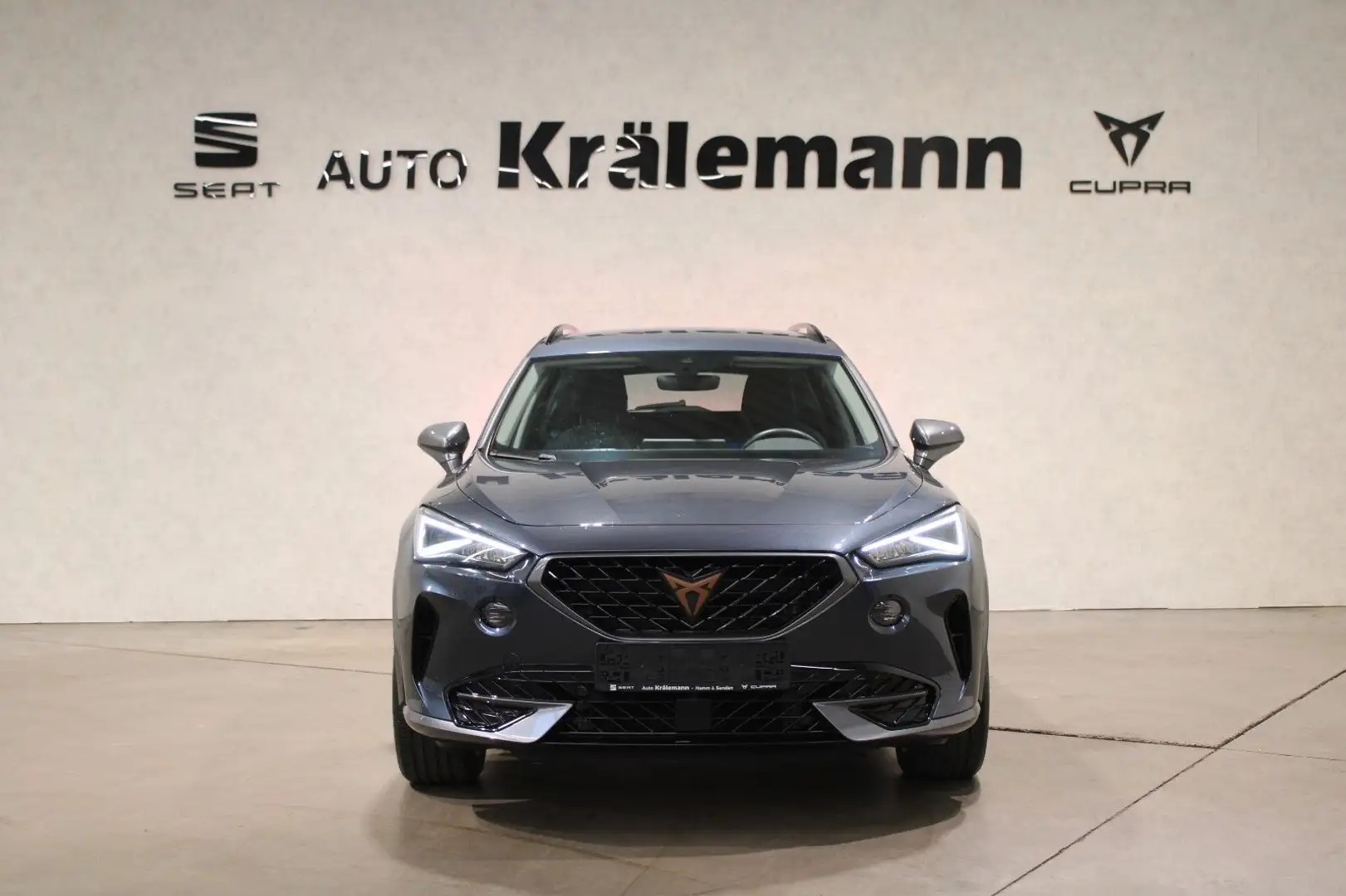 CUPRA Formentor 1.5 TSI DSG*AHK*Navi*Kamera*FullLink* Grau - 2