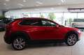 Mazda CX-30 2.0 SKYACTIV-G M Hybrid Selection *Navi*LED Rojo - thumbnail 7