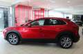 Mazda CX-30 2.0 SKYACTIV-G M Hybrid Selection *Navi*LED Rojo - thumbnail 4