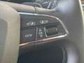 SEAT Leon ST 2.0 TDI Xcellence DAB LED Virtual Kamera Blau - thumbnail 24