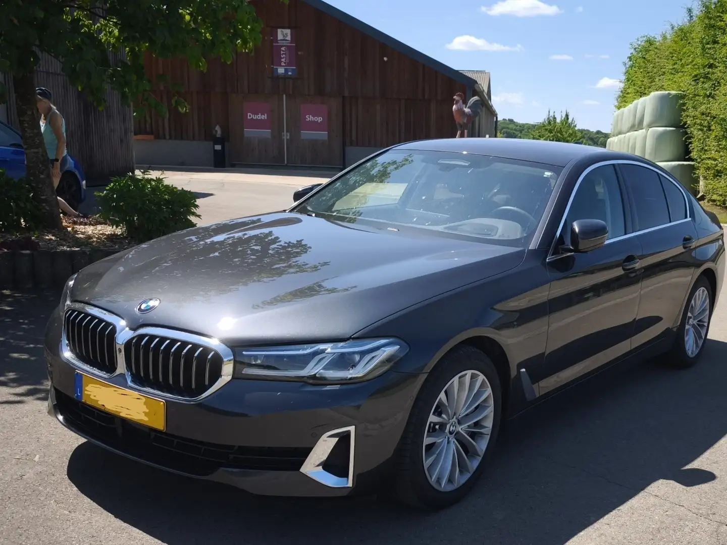 BMW 530 530 d xDrive Luxury Line Gris - 2
