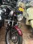 Triumph Bonneville T100 865 Rosso - thumbnail 2