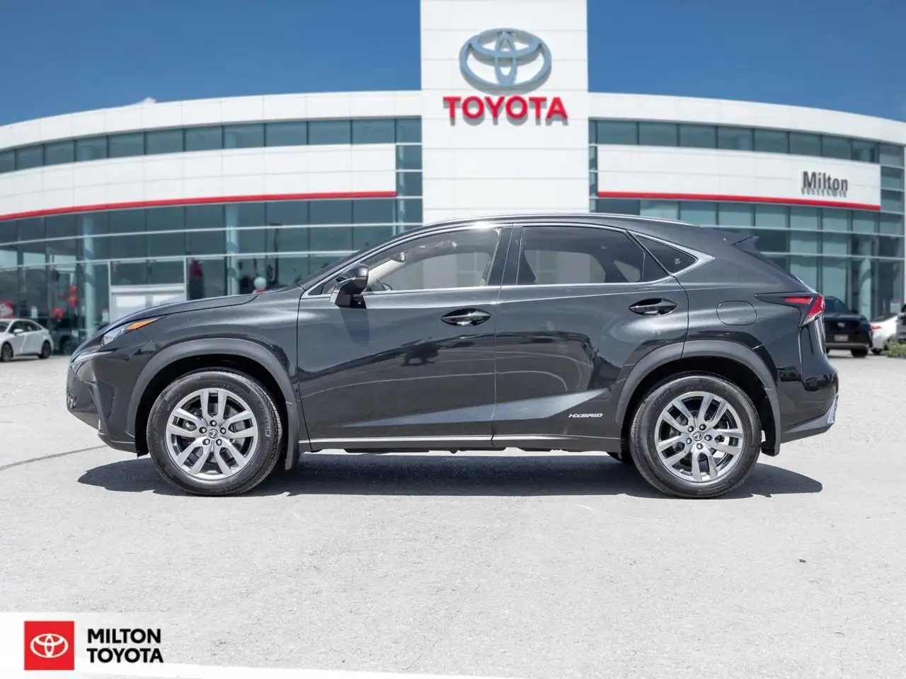 Lexus NX снимка Lexus NX