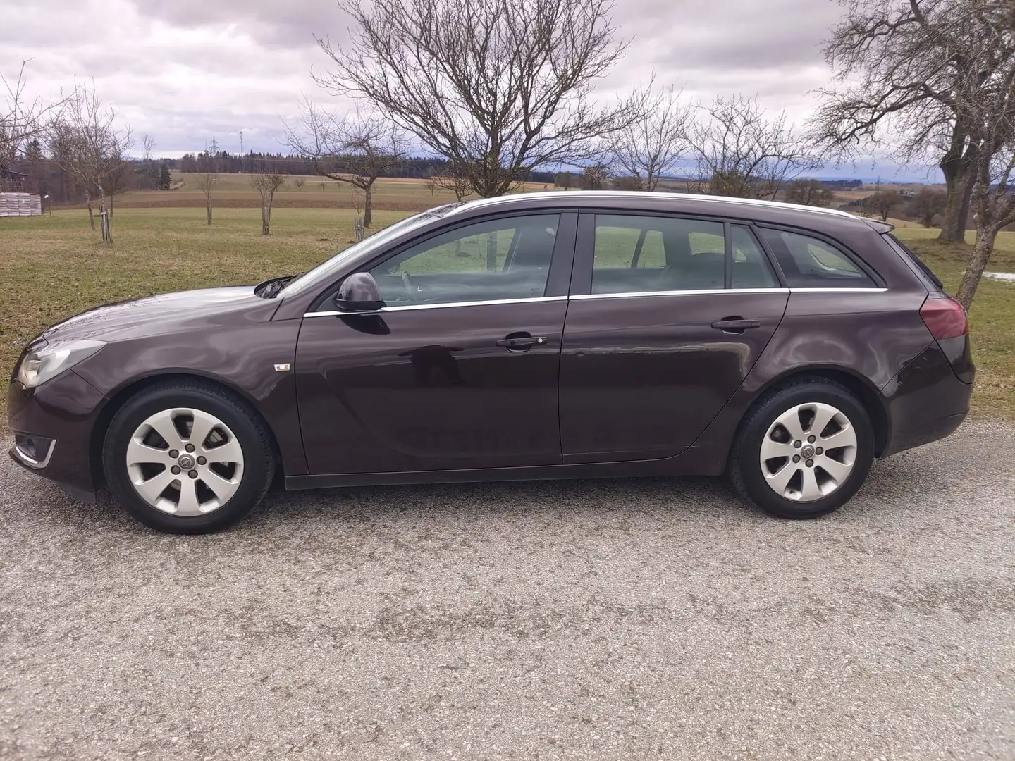 Opel Insignia Opel Insignia Sports Tourer Braun - 2