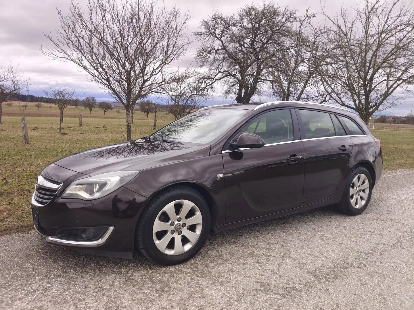 Opel Insignia Opel Insignia Sports Tourer Braun - 1