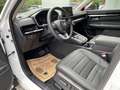Honda CR-V 2,0 i-MMD Hybrid Elegance Aut. Weiß - thumbnail 13