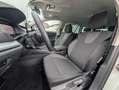 Skoda Octavia Combi 2.0 TDI 110 kW Selection*KAMERA*IN Weiß - thumbnail 9