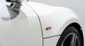Audi R8 GT Coupe V10 5.2 560 Immat France 1 OF 333 966E-MOIS Weiß - thumbnail 10