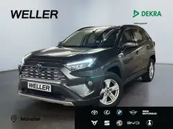 Toyota RAV 4 2.5 Hybrid Business Edition *Navi*ACC*RCam*
