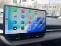 GWM HAVAL H6 1.5 HEV DHT Premium App-Navi Kamera LED Blanco - thumbnail 19