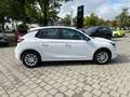 Opel Corsa F 1.2 Edition Matrix SpurH Blanc - thumbnail 8