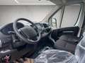 Citroen Jumper 35 L3H2 Control BlueHDi 140 SOFORT VERFÜGBAR Weiß - thumbnail 10