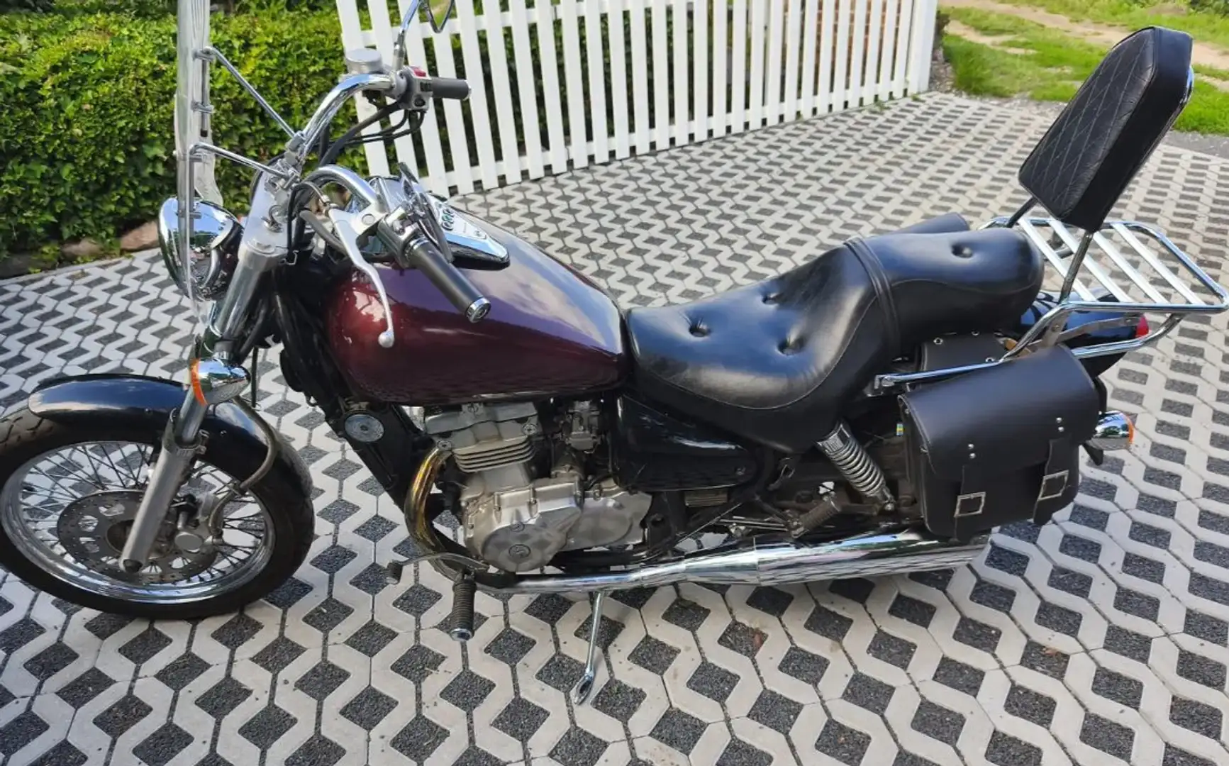 Kawasaki EN 500 500 C Bruin - 2