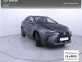 Lexus NX 300h 450h+ Executive 4WD Gris - thumbnail 30