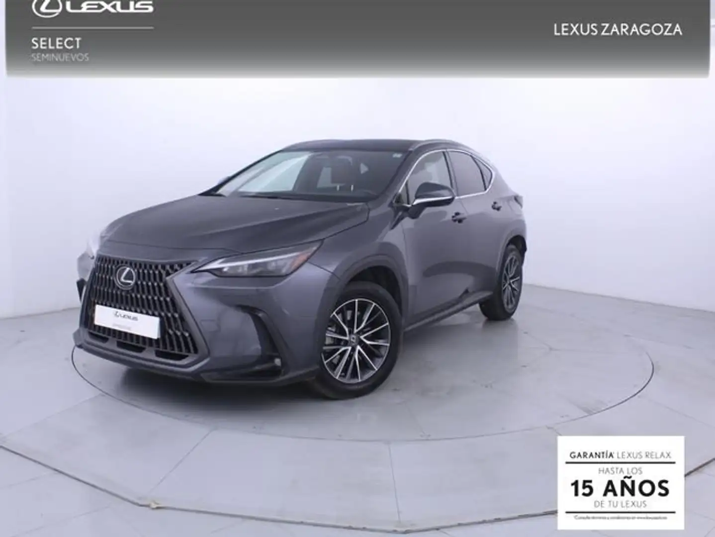 Lexus NX 300h 450h+ Executive 4WD Gris - 1