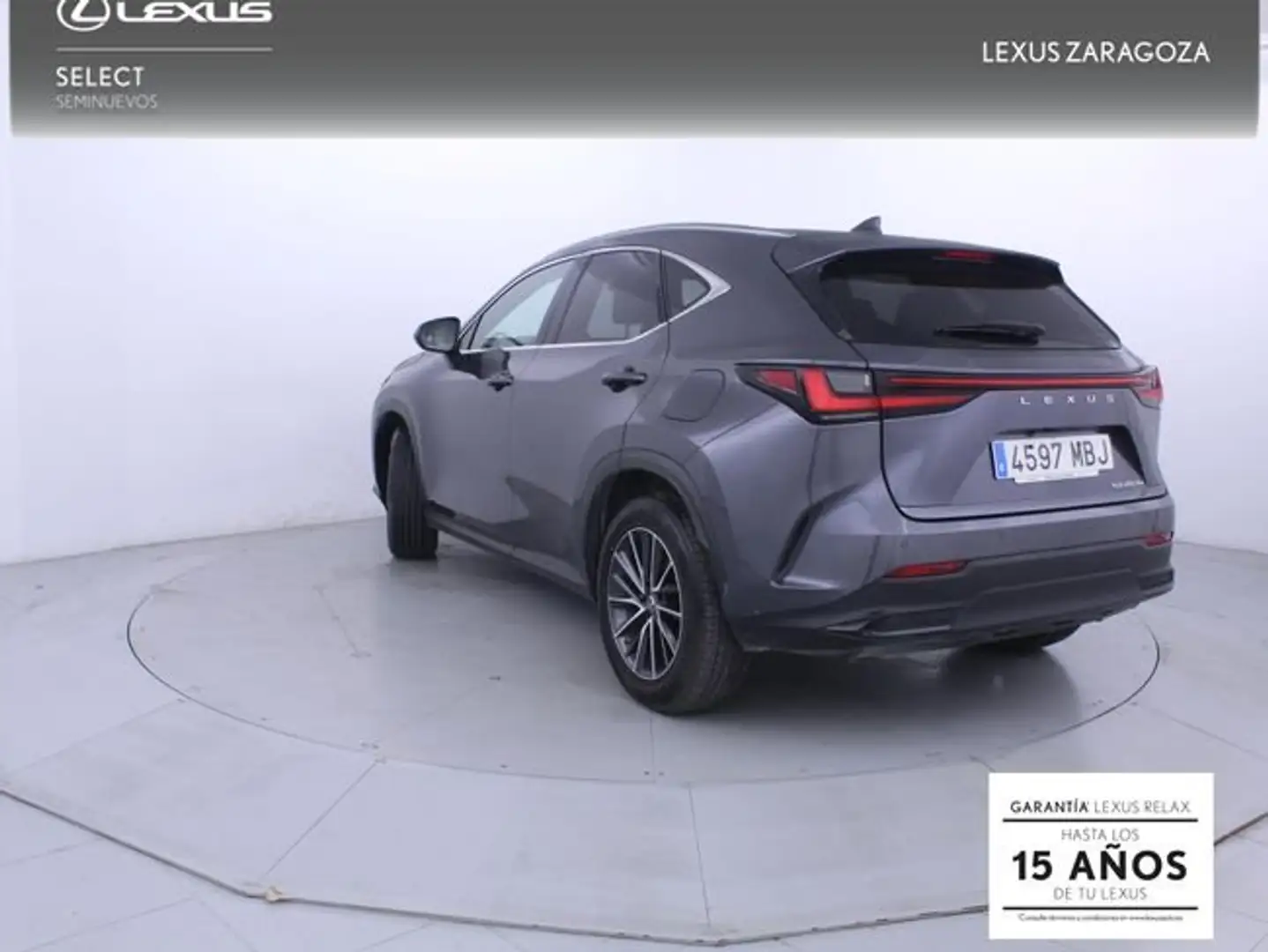 Lexus NX 300h 450h+ Executive 4WD Gris - 2
