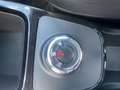Dacia Spring Electric 45  Essential *NAVI*Leder*PDC Bleu - thumbnail 14