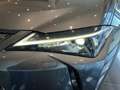 Lexus UX 300h 2.0  Plus Gris - thumbnail 19