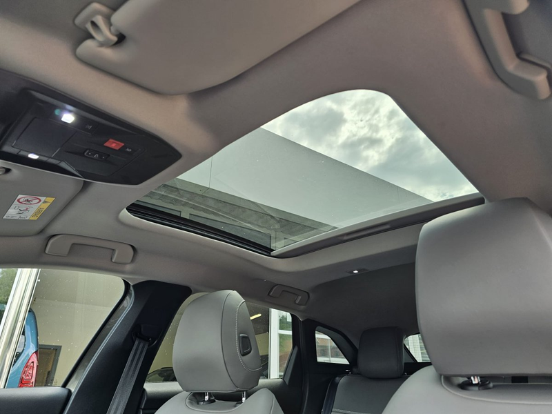 Citroen C5 X 1.6 Hybrid 225 (Plug-In) EU6d Shine Pack Kamera LE — photo 13