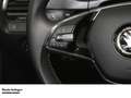 Skoda Fabia 1.0 TSI Clever DSG   ACC   SHZ   PDC Blau - thumbnail 18