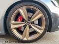 Audi RS4 AVANT 2.9 V6,PACK PERFORMANCE,CARBONIO,IVA ESPOSTA Grigio - thumbnail 14