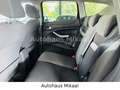 Ford Kuga Champions Edition Schwarz - thumbnail 14