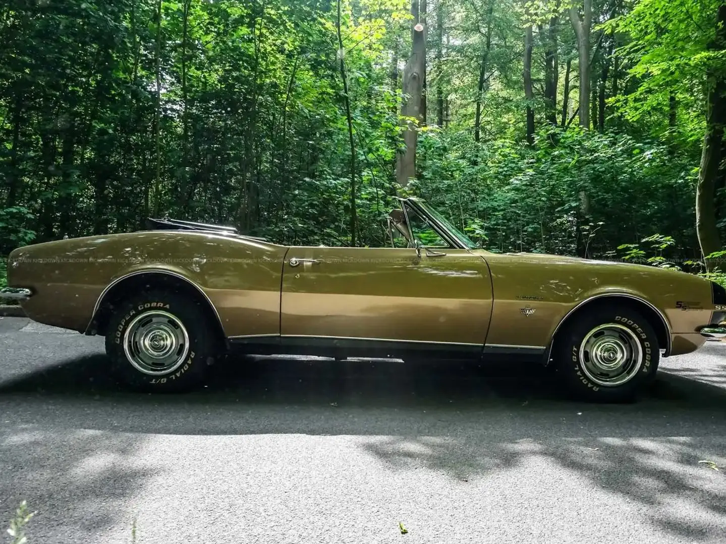 Chevrolet Camaro SSRS Cabriolet Gold - 1