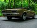 Chevrolet Camaro SSRS Cabriolet Gold - thumbnail 3