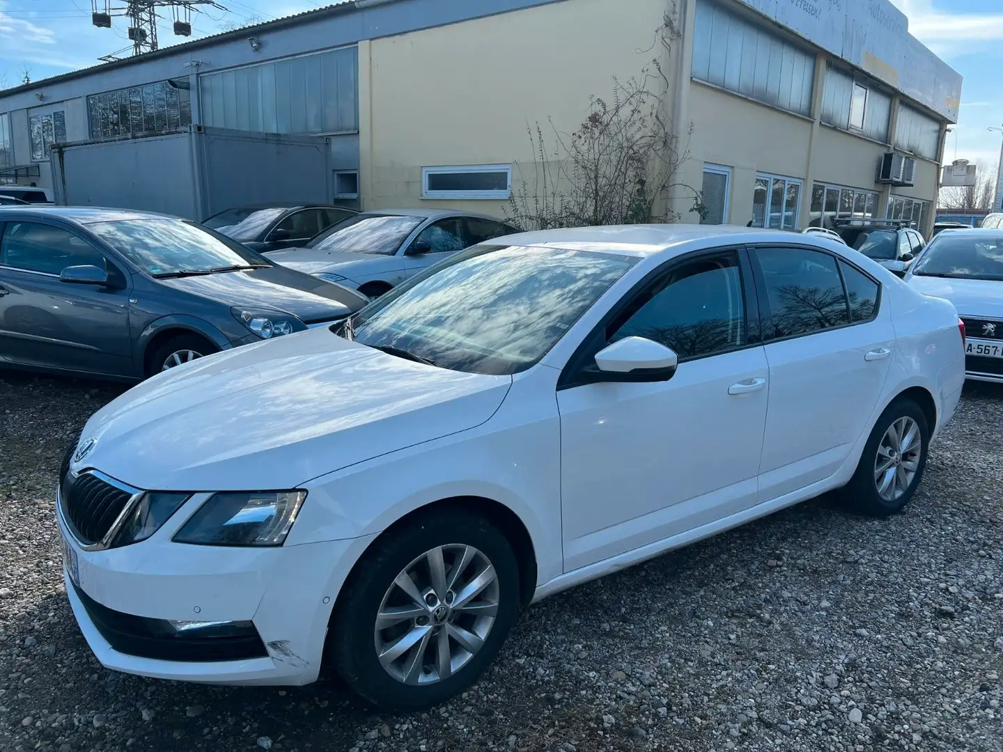Skoda Octavia limo 1.6 TDI *Kamera*NAVI Weiß - 1