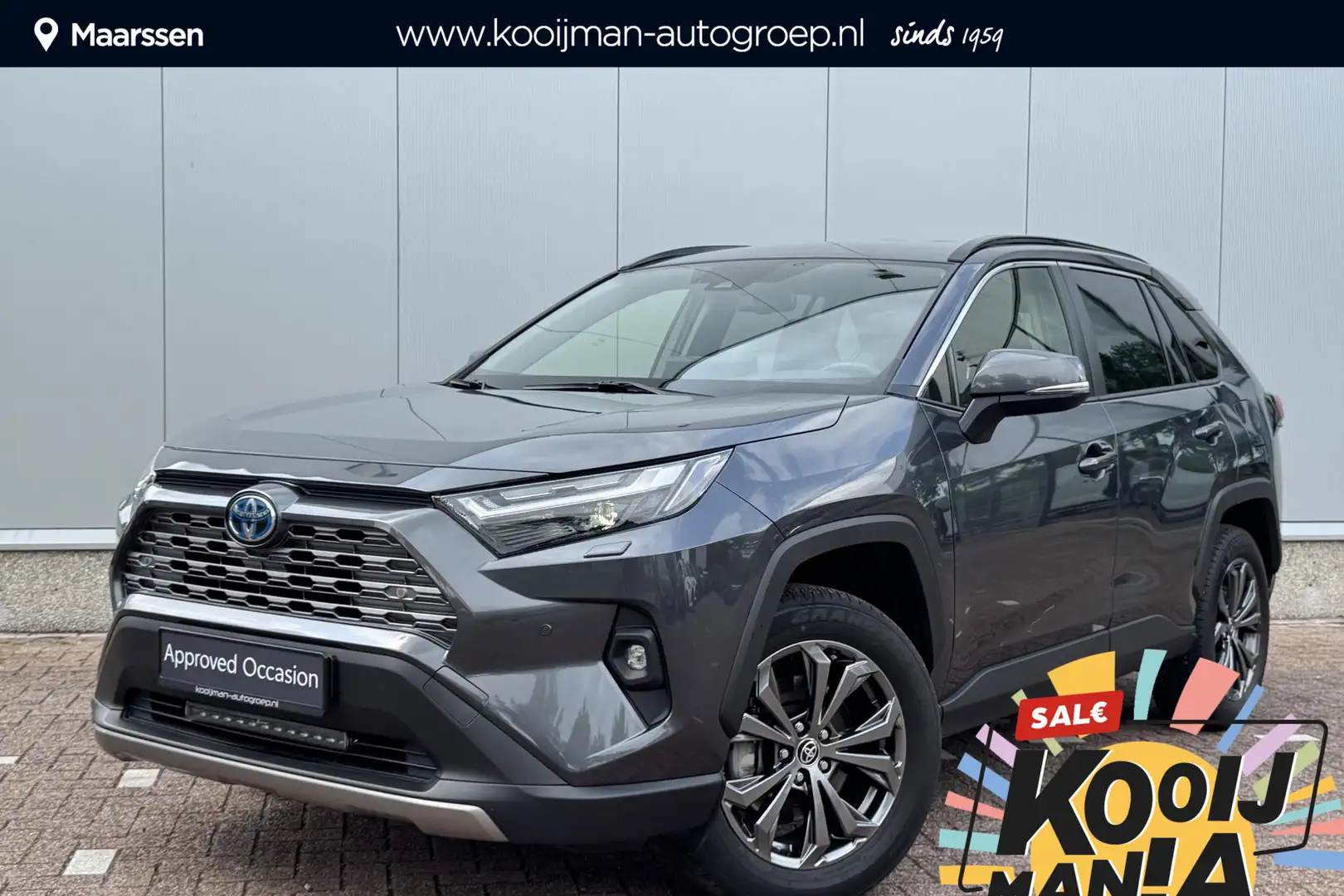 Toyota RAV 4 2.5 Hybrid AWD Executive Navigatie, Stoel- & Stuur - 1