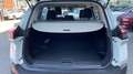 Nissan X-Trail 1.5 HEV E-POWER 204 ACENTA 204 5P Bianco - thumbnail 9