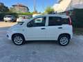 Fiat Panda Van Bifuel BZ/METANO Panda 0.9 t.air NP Easy Bianco - thumbnail 2