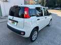 Fiat Panda Van Bifuel BZ/METANO Panda 0.9 t.air NP Easy Bianco - thumbnail 3
