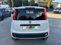 Fiat Panda Van Bifuel BZ/METANO Panda 0.9 t.air NP Easy Bianco - thumbnail 13