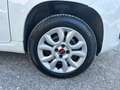 Fiat Panda Van Bifuel BZ/METANO Panda 0.9 t.air NP Easy Bianco - thumbnail 14