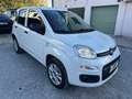Fiat Panda Van Bifuel BZ/METANO Panda 0.9 t.air NP Easy Bianco - thumbnail 9
