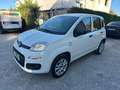 Fiat Panda Van Bifuel BZ/METANO Panda 0.9 t.air NP Easy Bianco - thumbnail 10