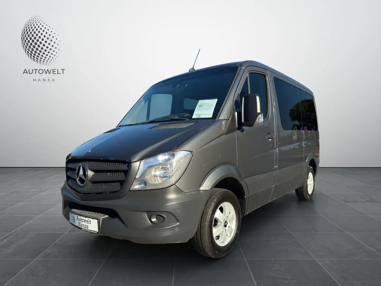 Mercedes-Benz Sprinter II Kombi  213 CDI/ROLLSTUHLRAMPE/KAM/ Grau - 2