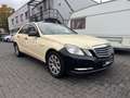 Mercedes-Benz E 200 E200 Lim. CDI BlueEfficiency TAXI/ TAXIMETER/ Giallo - thumbnail 2